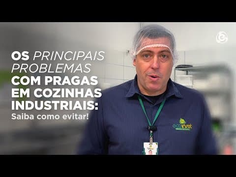 Os Principais Problemas com Pragas em Cozinhas Industriais