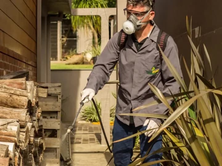 Técnico da Ecoinset, com máscara de proteção, aplica tratamento numa área externa ao lado de uma pilha de lenha.